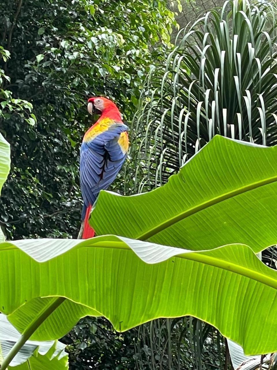 Hotel Y Restaurante Alicante De Montana, El Salvador Concepción de Ataco Kültér fotó